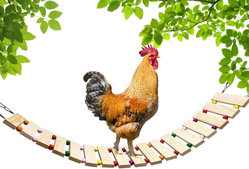 Vehomy Chicken Coop Toy - Natural Wood Chicken Ladder, Swing, Perch for Hens,