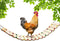 Vehomy Chicken Coop Toy - Natural Wood Chicken Ladder, Swing, Perch for Hens,