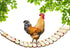 Vehomy Chicken Coop Toy - Natural Wood Chicken Ladder, Swing, Perch for Hens,