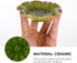 Ceramic Dish for Electric Oil Burner, Essential Oil Plate Holder, Home Decoration, Green