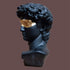 Taotenish Greek David Head Statue, Classic Black Resin, 6" H x 6" W x 6" D, Home & Office Decor