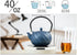 40 oz (1200 ml), TOPTIER Japanese Cast Iron Tea Kettle with Infuser for Loose Leaf and Tea Bags, Stovetop Safe