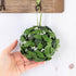 Factory Direct Craft Hanging Mistletoe Ball, Artificial Green Poly Silk Leaves, Multiple White Berries