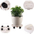 3 Packs Wheels13" Large Plant Caddy with Rolling Plant Stands Heavy-duty Plastic Plant Roller Base Pot Movers Plant