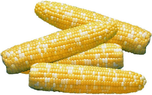 Park Seed Variety of Corn Seeds, Non-GMO Vegetable Seeds for Planting, Easy
