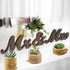 Nwsrayu Pack 3 Wooden Air Plant Holder of Wooden Air Plants Holders Air Plants Terrarium Tillandsia Streptophylla