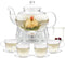 Glass Teapot Set, 34OZ/1000ML Glass Tea Kettle with Loose Tea Infuser &
