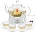 Glass Teapot Set, 34OZ/1000ML Glass Tea Kettle with Loose Tea Infuser &