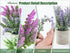 Indoor3-Pack Plant Stand Lifelike Artificial Lavender Artificial Plants Indoor, Nordic Lavender Table