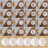 Cookie Biscuit Press and Cake Icing Decorating Set for Beginners and Professionals - Biscuit Making and Icing Set