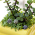 X Hot Popcorn 30 Pcs Mini Hedgehog Figurines - Miniature Moss Landscape DIY Garden Decor