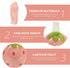 Housoutil 2PCS Strawberry Spoons, Cute Ceramic Soup Spoons, Long Handle for Breakfast, Cereal, Rice
