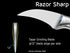 WELLSTAR 2.5 Inch Birds Beak Paring Knife, Sharp High Carbon Stainless Steel Curved Blade for Fruit and Vegetable Peeling Garnishing Cutting – Silver by WELLSTAR