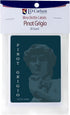 Pinot Grigio Wine Labels