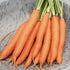 Sunutri Seeds Pack 4 126, Carrot Seeds Variety Heirloom Carrot Varieties: Tendersweet, Danvers Parisian, Rainbow Mix