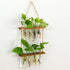 ORANGE NEI 2 Hiuxume Tiered Wall Hanging Planter, Wooden Stand with Glass Planter Test Tube Vase for Hydroponic Plant