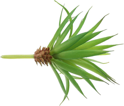 LJY 2 Pieces Realistic Artificial Faux Succulent Yucca Vera Small Plants Unpotted for Home Garden Decoration (Spring