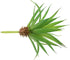 LJY 2 Pieces Realistic Artificial Faux Succulent Yucca Vera Small Plants Unpotted for Home Garden Decoration (Spring