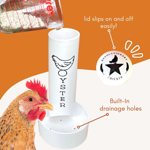 Revolutionary Chicken Oyster Shell Feeder for Chickens