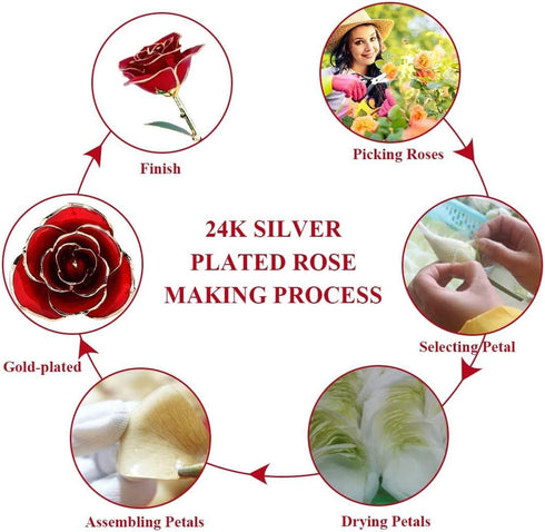 24K Red Rose Christmas Gift, Eternal Love Real Gold Plated Rose Flower, Romantic Present for Wife, Mom, Grandma,