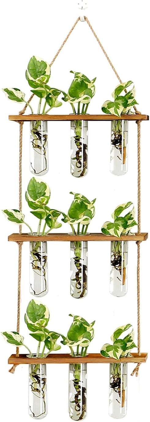 XXXFLOWER Wall Hanging Propagation Station with Wooden Stand Glass Test Tubes Tiered