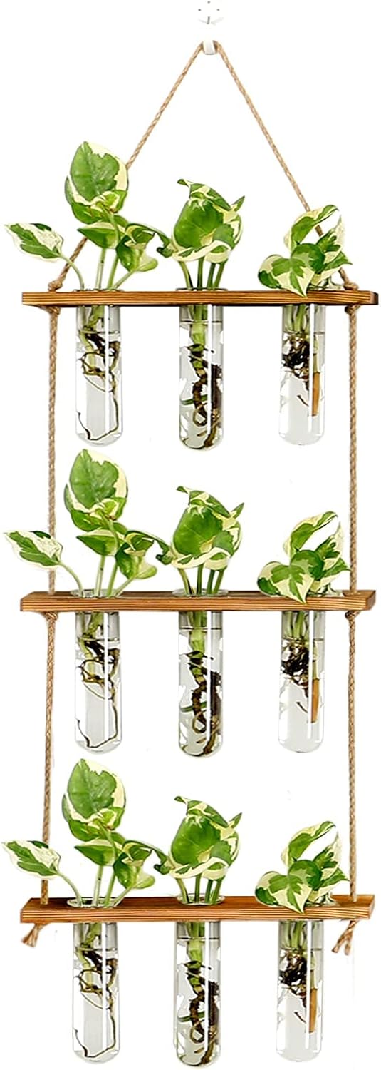 XXXFLOWER Wall Hanging Propagation Station with Wooden Stand Glass Test Tubes Tiered