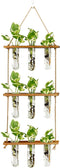 XXXFLOWER Wall Hanging Propagation Station with Wooden Stand Glass Test Tubes Tiered