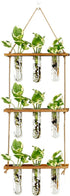 XXXFLOWER Wall Hanging Propagation Station with Wooden Stand Glass Test Tubes Tiered