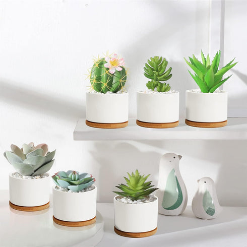 ZOUTOG 4 Inch Ceramic Plant Pot, Pack of 6 White Succulent Pots with Drainage Hole & Bamboo Tray for Home, Office Decor