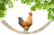 Vehomy Chicken Coop Toy Chicken Toys for Hens Natural Wood Chicken Ladder Chicken