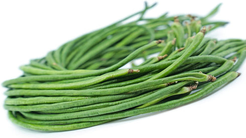 85+ Yard Long Bean Seeds Seeds, Asian Heirloom Yard Long Beans Seeds, Asparagus Beans Seeds, Phaseolus Vulgaris, Non