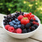 Fruit Garden Seeds Kit for Growing - Elderberry, Blueberry, Red Strawberry, White