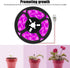 2835 IP66 Plant Grow Light Strip SMD Waterproof Full Spectrum LED Light for Indoor Plants, Greenhouse, Aquarium