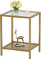 SAYGOER Glass Side Table Small Gold End Table for Narrow Space 2-Tier