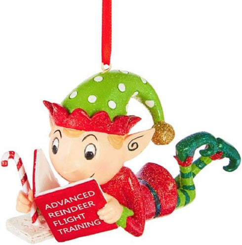 RAZ Imports 4" Studying Elf Advanced Reindeer Flight Training Christmas Tree Ornament