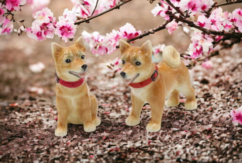 Fine Porcelain Shiba Inu Dog Salt and Pepper Shakers Set, 3-5/8" L - 20777