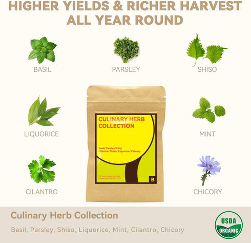 12 (350+ Shis0, Chic0ry) inbloom Culinary Herbs Seed Pod Kit for Hydroponics Growing System, Pods Seeds with Basil