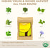 12 (350+ Shis0, Chic0ry) inbloom Culinary Herbs Seed Pod Kit for Hydroponics Growing System, Pods Seeds with Basil