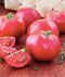 Bradley Tomato Seeds - Determinate Tomato which Makes Canning Easier as the