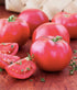 Bradley Tomato Seeds - Determinate Tomato which Makes Canning Easier as the