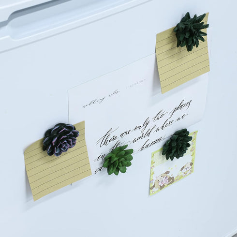 Plant Pattern 3D Resin Succulent Fridge Magnets, Set of 8 White Board Magnets for Home Office Display