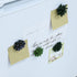 Plant Pattern 3D Resin Succulent Fridge Magnets, Set of 8 White Board Magnets for Home Office Display
