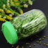 12 Pack Plastic Sprouting Lids for 86mm Wide Mouth Mason Jars, Sprouting Strainer Lid for Canning Jars