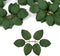 Fake Leaves for Roses Decorations, 80pcs Bulk Green Rose Leaves with Stems for DIY Wedding Bouquets