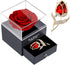Preserved Red Rose Gift Box, Enchanted Real Rose with Ruby Brooch, Handmade Forever Red Rose Gift