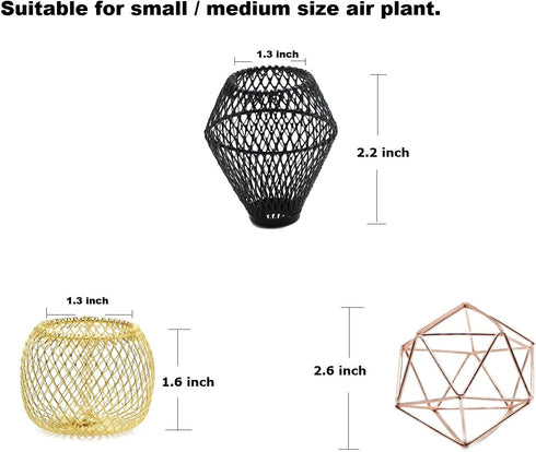 ROJAX Pack 3 3 5 5 of Air Plant Metal Stand, Black, Rose Gold, Indoor/Outdoor, in H x in W x in D