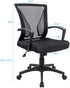 Furmax Office Chair Mid Back Swivel Lumbar Support Desk Chair, Ergonomic Mesh Chair with Armrest (Black)