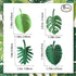Plant Fridge Magnets,8 Pcs Mini Tropical Leaves Refrigerator Magnets Cute Magnets for Locker Fridge Home Office Decor, 3D Monstera Plant Refrigerator Magnets (Plant)