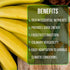 (4 Pack) Banana Trees Grand Nain | Easy to Grow Banana Plants | Edible Fruit Live Plant for Sustainable Living | Grow