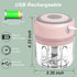 Electric Garlic Chopper, 250ML USB Food Chopper, Mini Vegetable Mincer for Garlic, Ginger, Chili, Vegetables